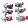 Factory Supply Simple and Easy to Operate Large Flow Gear Pump Corrosion Resistant Stainless Steel Pump